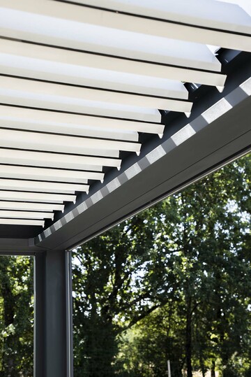 Pergola 19